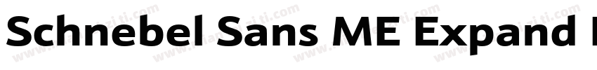 Schnebel Sans ME Expand Black Itali字体转换